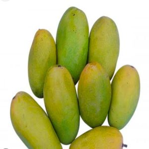 Dhosari mango