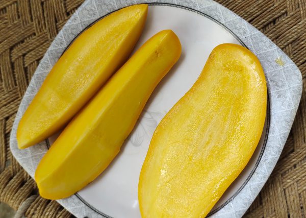 New / Late sindhari mango - Image 5